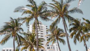 Low-angle photography of high rise buildings behind coconut trees